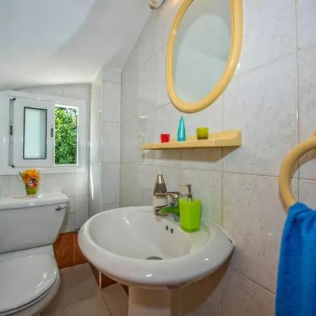 فيلة Evilia By Polis